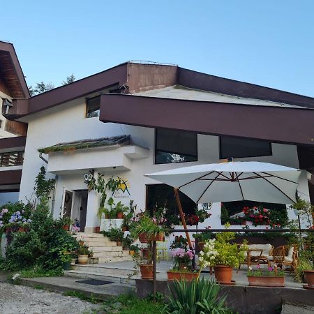 Randunica Hotell Văliug Exteriör bild