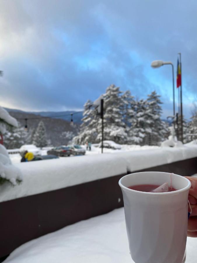 Randunica Hotell Văliug Exteriör bild