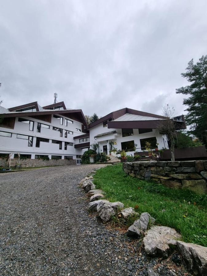 Randunica Hotell Văliug Exteriör bild