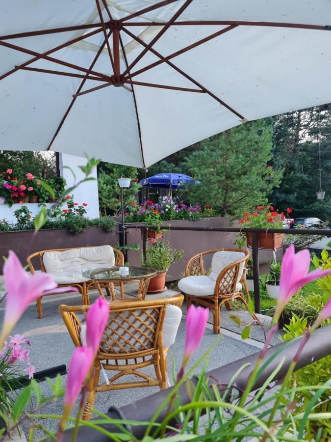 Randunica Hotell Văliug Exteriör bild