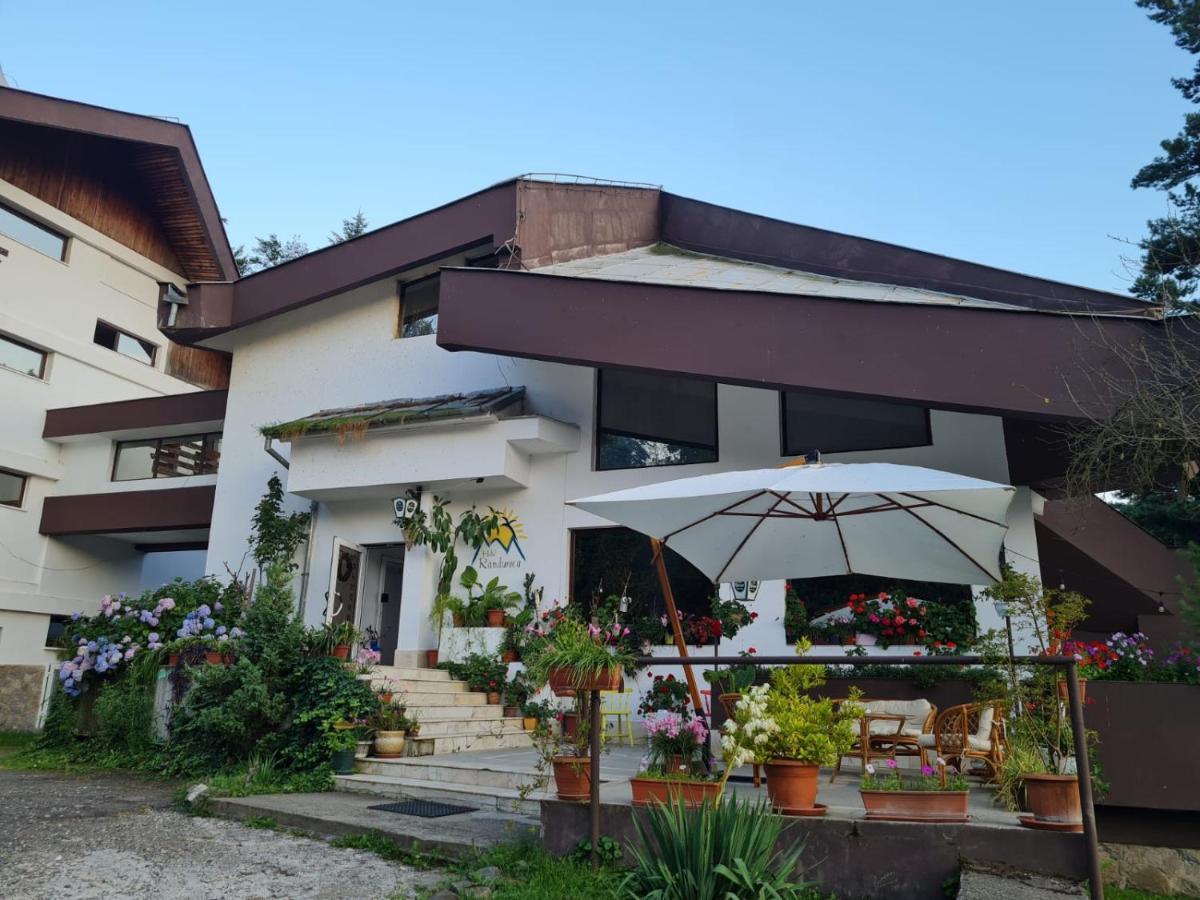Randunica Hotell Văliug Exteriör bild