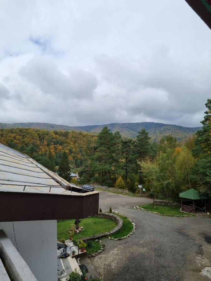 Randunica Hotell Văliug Exteriör bild